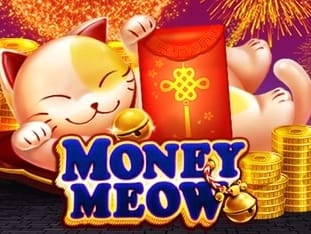 Money Meow game icon