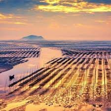 Mochtar Lubis avatar